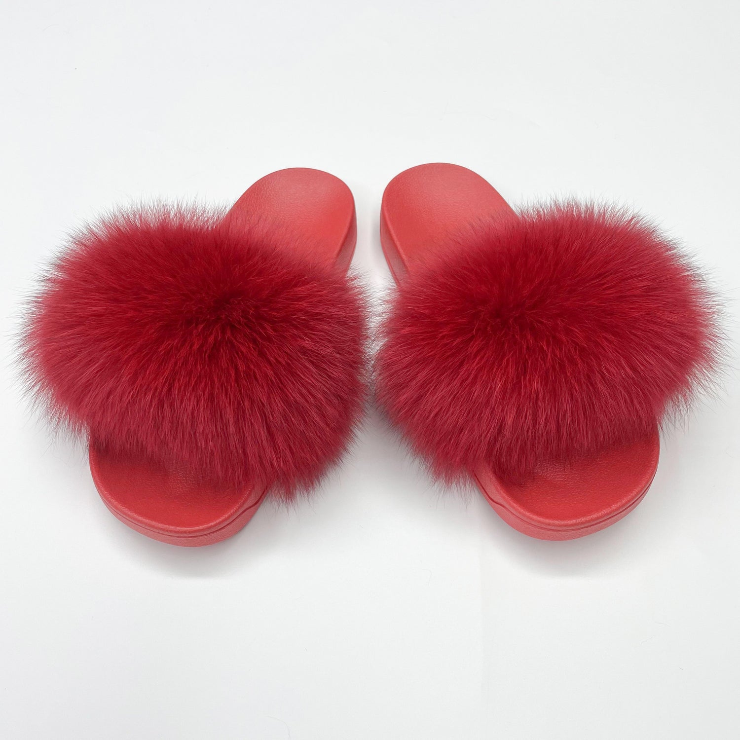 Red Polar Fox Slides